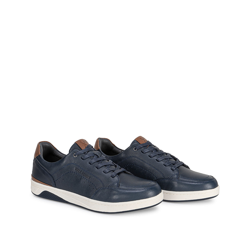 Zapatilla Basico Casual Azul