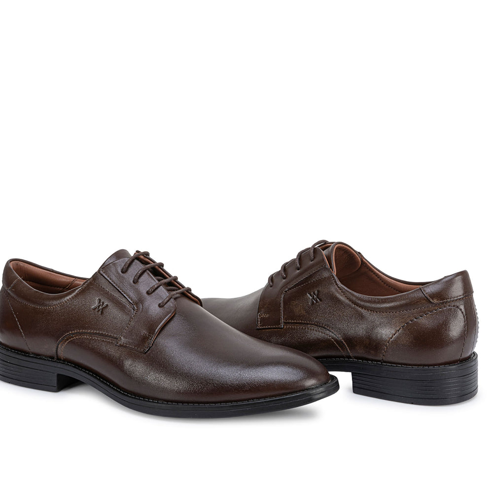 Zapato Derby Vestir Marron