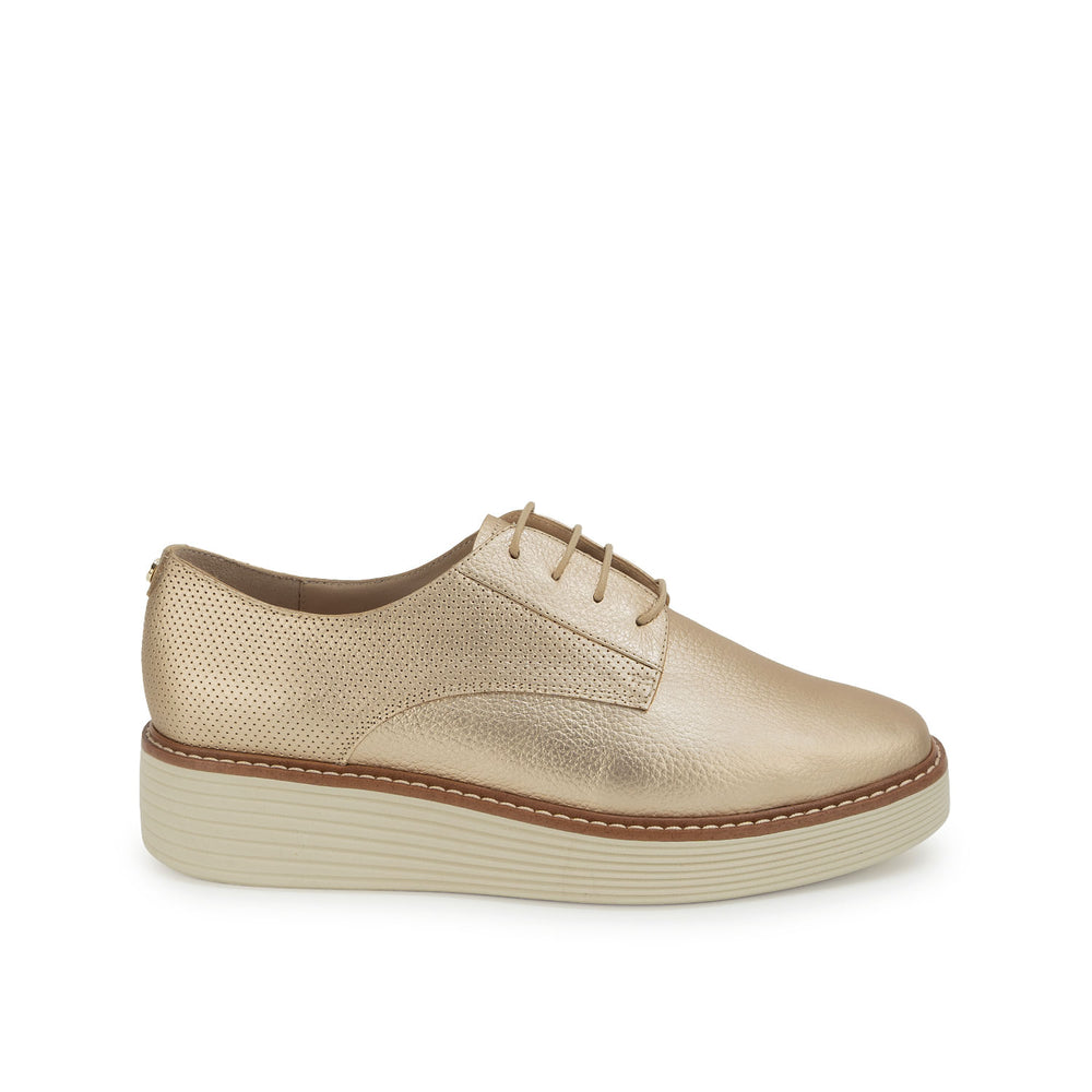 Zapato Oxford Casual Champagne